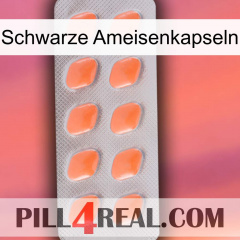 Black Ant Capsules 26